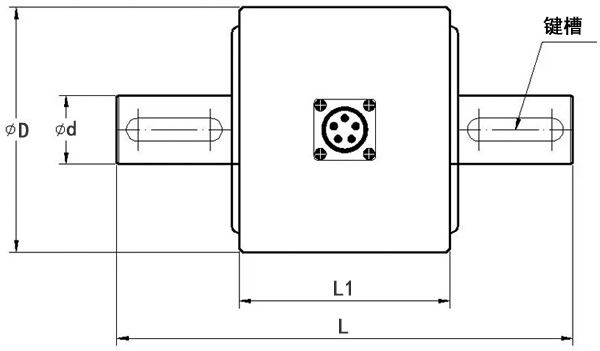 LZ-N6靜態扭矩傳感器
