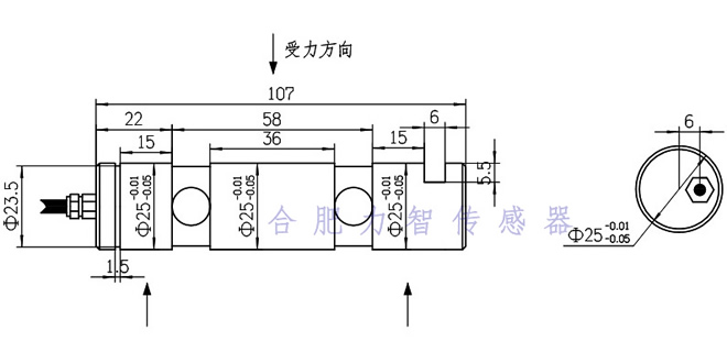 LZ-ZXF25軸銷傳感器(圖1)